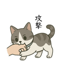 Sunny日常ㄉ生活