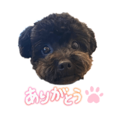 Hiyori_20250911073312