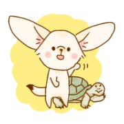 A fennec fox named Mimimi(Japanese)