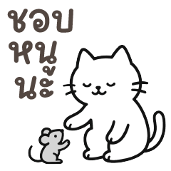 Big Jao White Cute Cat