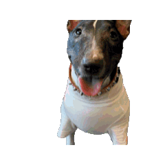 Kurumi_20250911224438