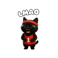 くろねこの写真