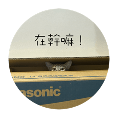 Una說什麼