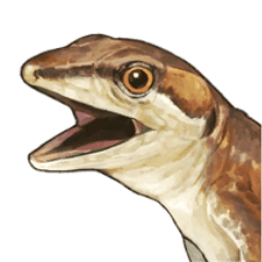 Takydromus tachydromoides-Sticker2