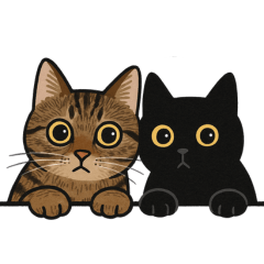 黑貓派派＆虎斑貓MiuMiu的日常