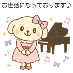 Toy Poodle Girl Who Loves Piano 3