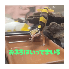 emi_20250911131323