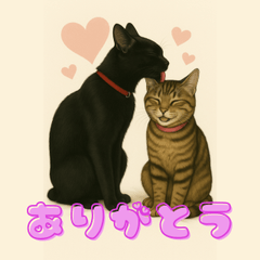 Adorable Cats Coco & Miu