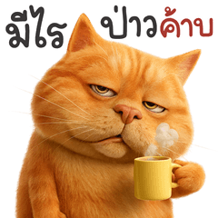 Mew orange