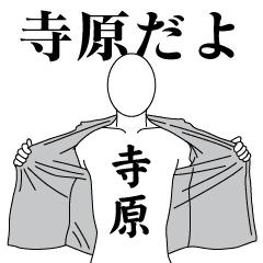 TERAHARA REVOLUTION 2