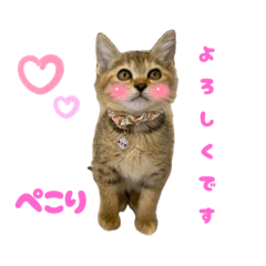 ありさスタンプver2.3