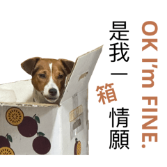 米香小姐長大囉