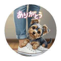 sugar_20250911124708