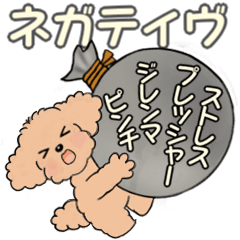 キュートなトイプードル ♡ やる気が出ない