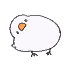 Pe-chan,zebrafinch,and whitezebrafinch