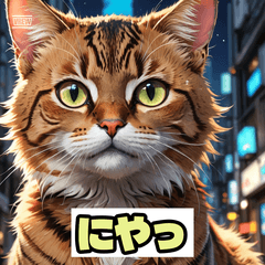 にゃんころタイム