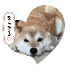 nagisa_20250911203603