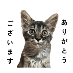 ruuuna_20250911190645