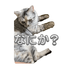 M_20250911164634