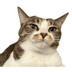 matsu_20250911170743