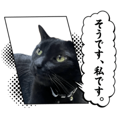 BB_20250911200628