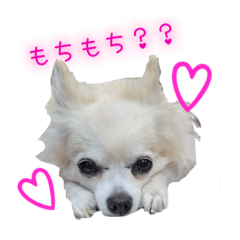 meimei_20250911200224