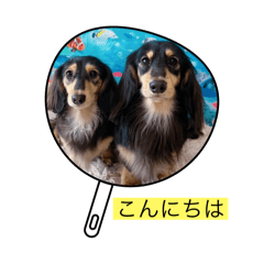 yuka_20250911230801