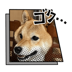 tatamaru_20250911233407