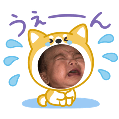 kiki_20250911234923