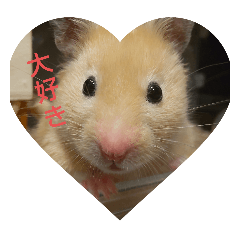 kana_20250911234849