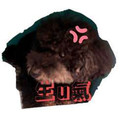 我是ball ball （鬧脾氣版）