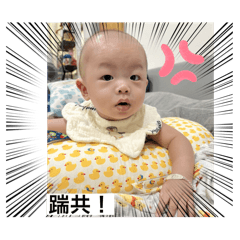 皮牧表情包