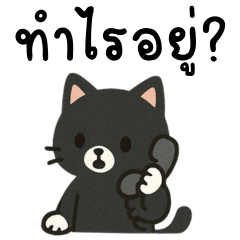 Black Neko Chat TH