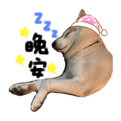 My name is Dian Dian