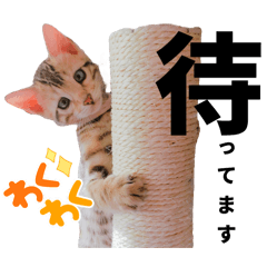 Kurumi_20250911214107