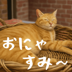 Xiao Hua & Friends Funny Chats Japanese