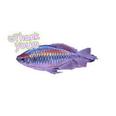 NANAMI_20250911161748