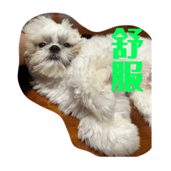 肉燥不能吃-大西施日常1.0