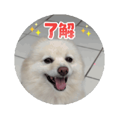 KANA_20250912201213