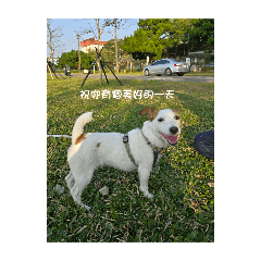 Jessica的女兒momo