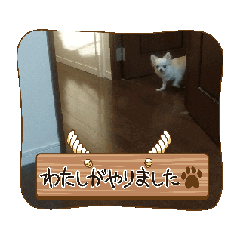 k_20250912230615