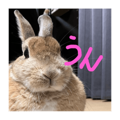 Angel_20250911225749