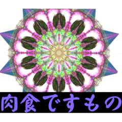 本音を言い曼荼羅