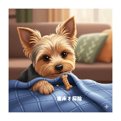 sugar_20250912104511