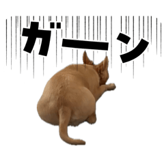 tonton_20250912105900