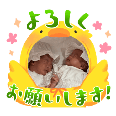 nogunogu_20250912152029