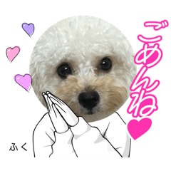 fuwafuku