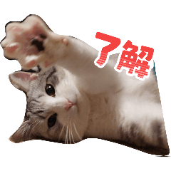 AKARI_20250912011220