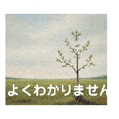 ちょっと使える１，１