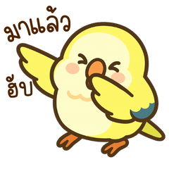 Lemon : Cute Yellow Parrot